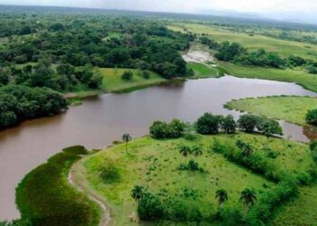 Academia de Ciencias pide al pueblo dominicano proteger los humedales