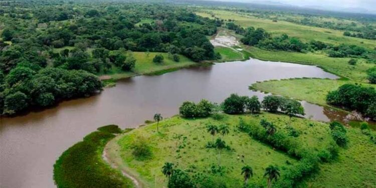 Academia de Ciencias pide al pueblo dominicano proteger los humedales
