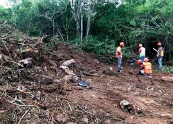 Denuncian desmonte en Parque Nacional Cotubanamá para la construcción de un proyecto turístico