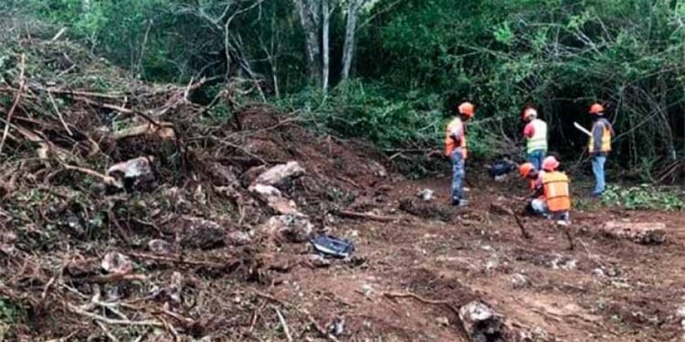 Denuncian desmonte en Parque Nacional Cotubanamá para la construcción de un proyecto turístico