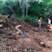 Denuncian desmonte en Parque Nacional Cotubanamá para la construcción de un proyecto turístico