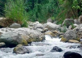 Valle Nuevo debe ser respaldado y aplicar Ley 64-00