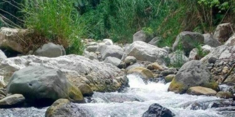 Valle Nuevo debe ser respaldado y aplicar Ley 64-00