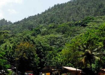 Anuncio de Falcondo para explotar Miranda es provocación