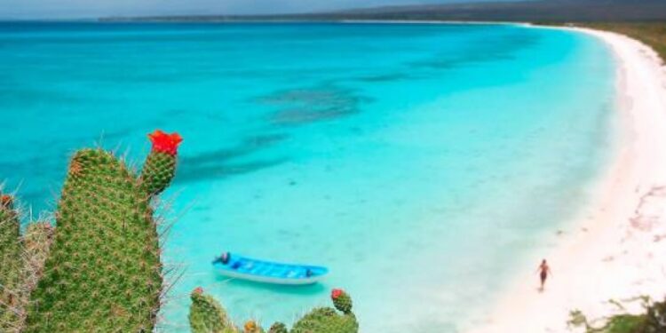 Academia de Ciencias da luz verde a proyectos en Pedernales