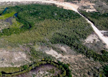 Academia de Ciencias dice daños por construcción Muro Fronterizo serán irrecuperables Dicen estar dispuestos a colaborar, asesorar, servirle al Estado dominicano