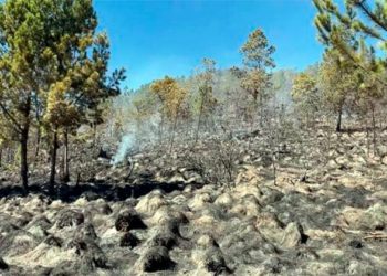 Academia de Ciencias realizará este martes 18 el panel “Plan de Acción para el Rescate de Valle Nuevo”