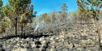 Academia de Ciencias realizará este martes 18 el panel “Plan de Acción para el Rescate de Valle Nuevo”