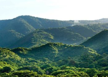 Consultorio Ecológico: ¿Qué tan protegidas están nuestras áreas protegidas?