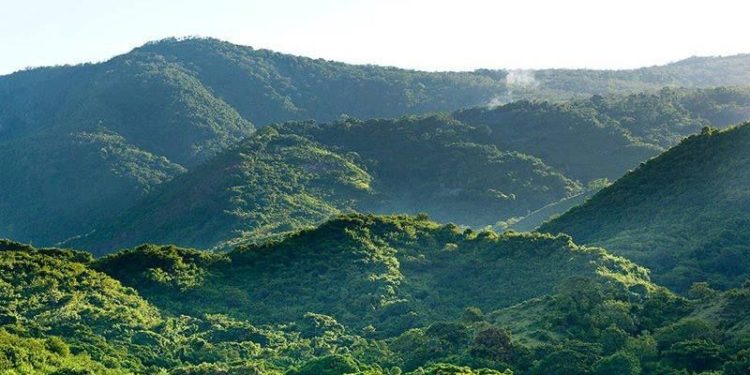 Consultorio Ecológico: ¿Qué tan protegidas están nuestras áreas protegidas?