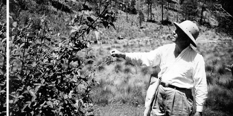 Eugenio de Jesús Marcano Fondeur: Una vida dedicada a las ciencias y la conservación