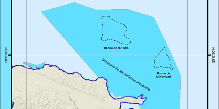 Academia de Ciencia: República Dominicana cumple meta mundial protección de sus mares