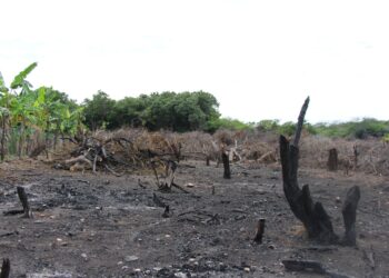 Academia de Ciencias vuelve alzar la voz por las Dunas de Baní