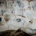 Comisión de Ciencias Sociales de la Academia de Ciencias dice existen alrededor de 1,700 muestras de arte rupestre conocido en Cuevas de Borbón o Pomier