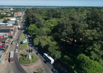  La Academia de Ciencias rechaza propuesta de reducción del Jardín Botánico Nacional