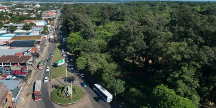  La Academia de Ciencias rechaza propuesta de reducción del Jardín Botánico Nacional