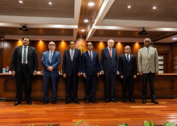 Ángel Brito, Dr. Eduardo Jorge Prats, Dr. Luis Arias, Dr. Manuel Herrera Carbuccia, Dr. Rafael Alburquerque, magistrado Napoleón R. Estévez Lavandier y Dr. Héctor Arias Bustamante.