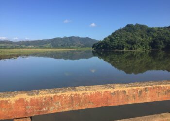 Academia de Ciencias alerta sobre proliferación de cianobacterias y contaminación en la Presa de Hatillo