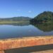 Academia de Ciencias alerta sobre proliferación de cianobacterias y contaminación en la Presa de Hatillo