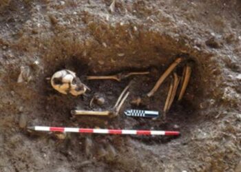 Informe de las excavaciones arqueológicas realizadas en sitio prehispánico de El Francés. Campaña 2021