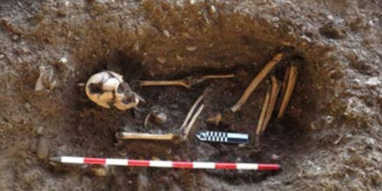 Informe de las excavaciones arqueológicas realizadas en sitio prehispánico de El Francés. Campaña 2021