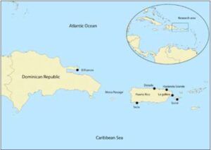 Comunidades en contacto: un estudio tecnológico y petrográfico sobre la producción y el comercio de cerámica entre la Española y Puerto Rico ( 350A.D. – 1200 A.D.)