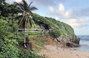 Informe de la excavación arqueológica realizada en el sitio de Orchid Bay
