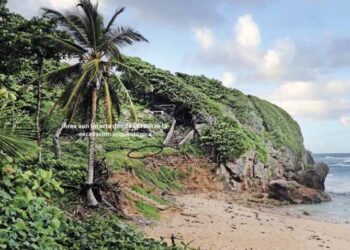 Informe de la excavación arqueológica realizada en el sitio de Orchid Bay