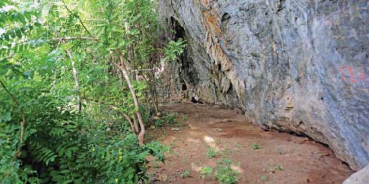 Informe de la campaña de excavaciones del Abrigo de Dana. Mayo de 2024