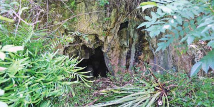 Informe de la campaña de excavaciones de la cueva de Sara. Mayo-junio de 2024