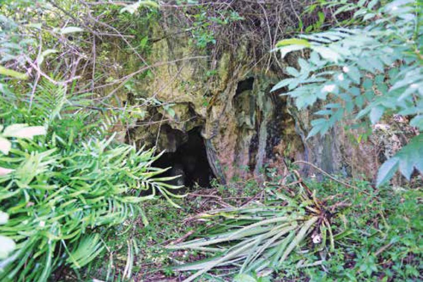 Informe de la campaña de excavaciones de la cueva de Sara. Mayo-junio de 2024