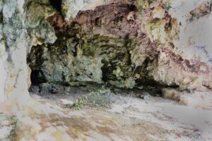 Informe de la campaña de excavaciones del abrigo de Ferruccio. Junio de 2024