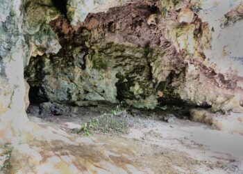 Informe de la campaña de excavaciones del abrigo de Ferruccio. Junio de 2024