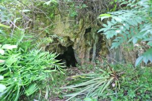 Informe de la campaña de excavaciones de la cueva de Sara. Mayo-junio de 2024