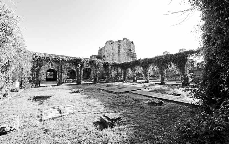 Importancia histórica y arquitectónica del convento de los frailes de San Francisco de la ciudad de Santo Domingo