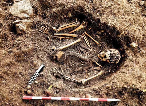 Estudio anatómico, antropológico físico y osteopatológico de los esqueletos humanos recuperados del sitio arqueológico de El Francés, campaña 2021